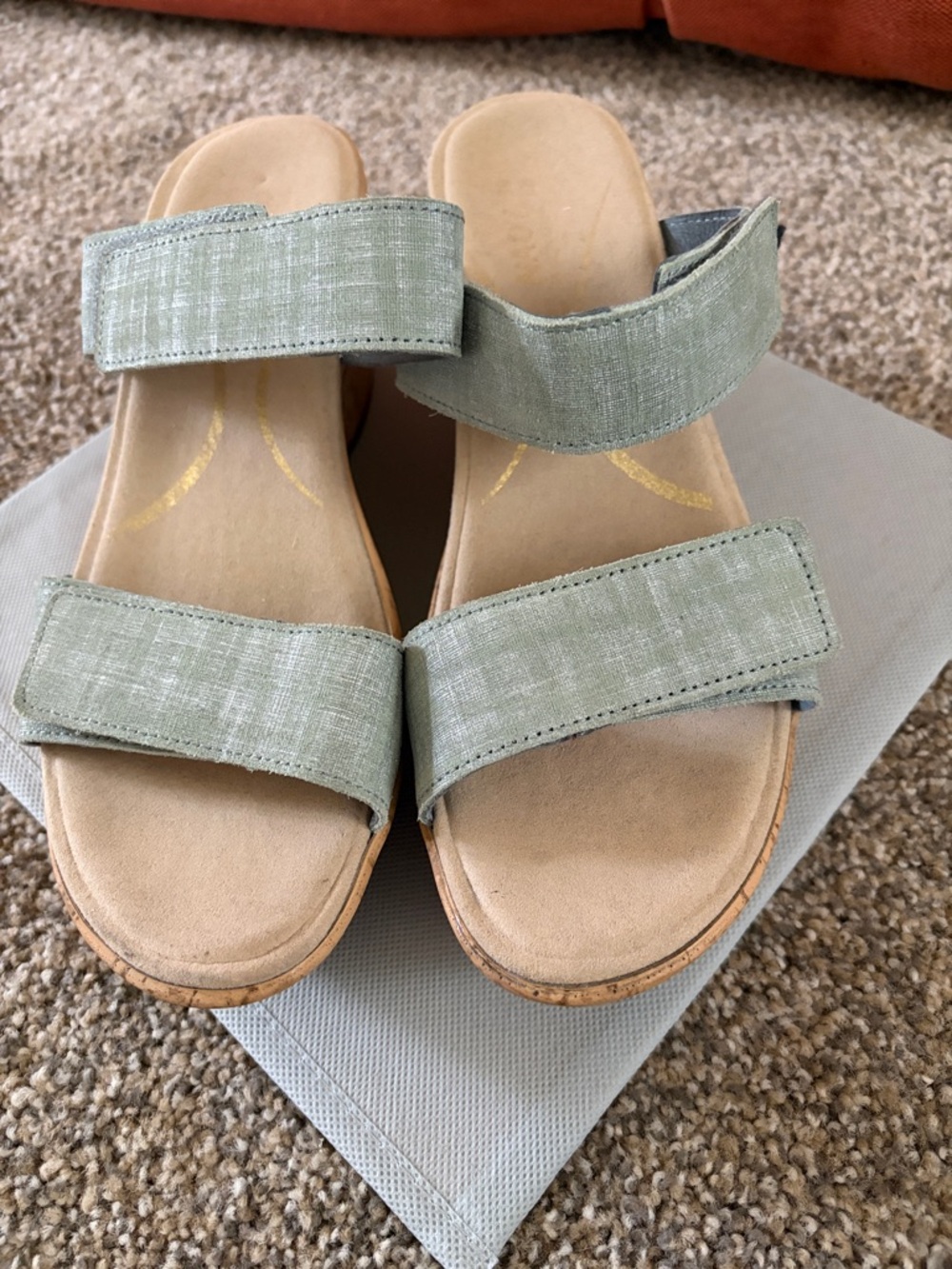 Naot Caveran Cork Wedge Sage Green Sandal. Worn Once. Excellent Condition!
